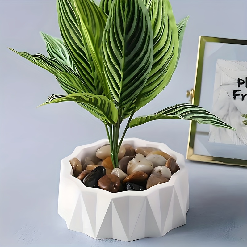 1/2개 대형 원형 불규칙 실리콘 몰드 DIY 레진 및 - Potsticker Mold 리뷰 및 가격